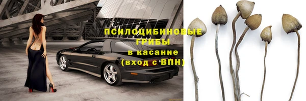 ГАЛЛЮЦИНОГЕННЫЕ ГРИБЫ Лиски