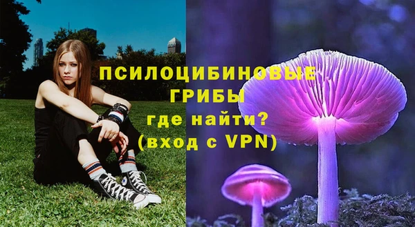 ГАЛЛЮЦИНОГЕННЫЕ ГРИБЫ Лиски