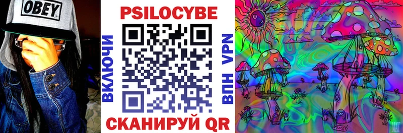 Псилоцибиновые грибы ЛСД  Димитровград 